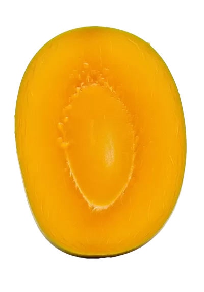 Imagen PNG para descargar